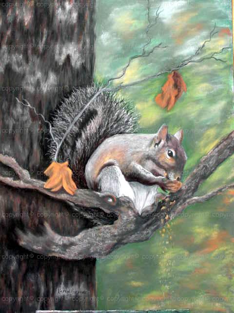 wildlife, wildlife art, wildlife artist, animal artist, squirrel ...