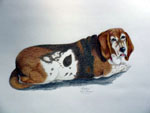 pencil portrait,dog portrait, pet portrait, dog art, colored pencil, 