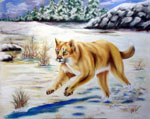 wildlife, wildlife artist, wildlife art, cougar,animal portrait, painting of wildlife