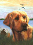 pastel pet portrait, pastel dog portrait,  