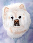 pet portrait, pet portrait from photo, dog portrait, pastel painting, Chow painting