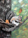 wildlife, wildlife art, wildlife artist, animal artist, squirrel, painting of squirrel, 