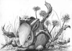 pencil portrait, rabbit, animal, graphite drawing