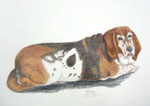 pencil portrait, dog portrait, dog painting, dog art, colored pencil,animal artist