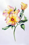 floral painting, floral portrait, flower art, flower artist, flower portrait, portrait of a flower, roses, daisies