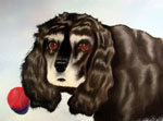 pet portrait, dog portrait, cockerspanial painting, dog artist, cocker spaniel painting