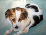 Pet portrai, portrait from photos, dog portrait, oil portrait