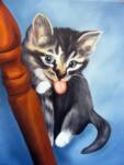 cat, kitten, cat portrait, kitten portrait, feline